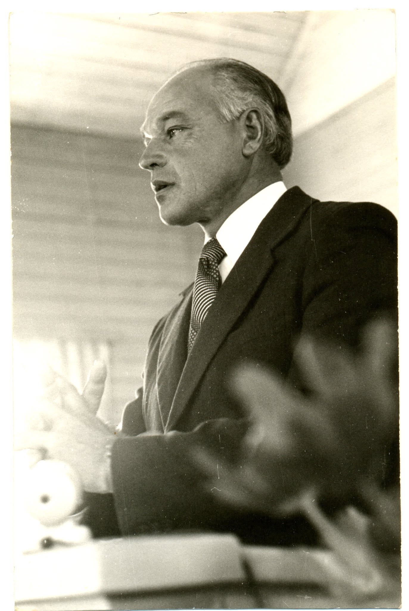 Meinhard Elmi